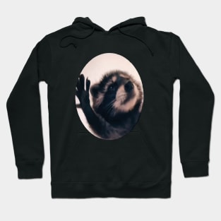 Pedro Racoon Dance Beliebtes Internet Meme Mapache Dance Hoodie